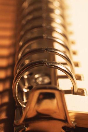 ガチャガチャの森：子供から大人まで楽しめる多彩なガチャ体験を提供