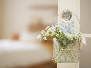 ガチャガチャの森で楽しむ！最新情報と店舗詳細ガイド