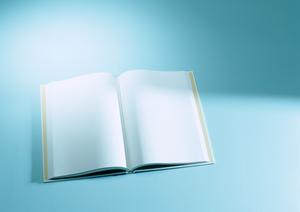 車の販促やカスタマイズに最適！コストパフォーマンス抜群のマグネットシート活用法